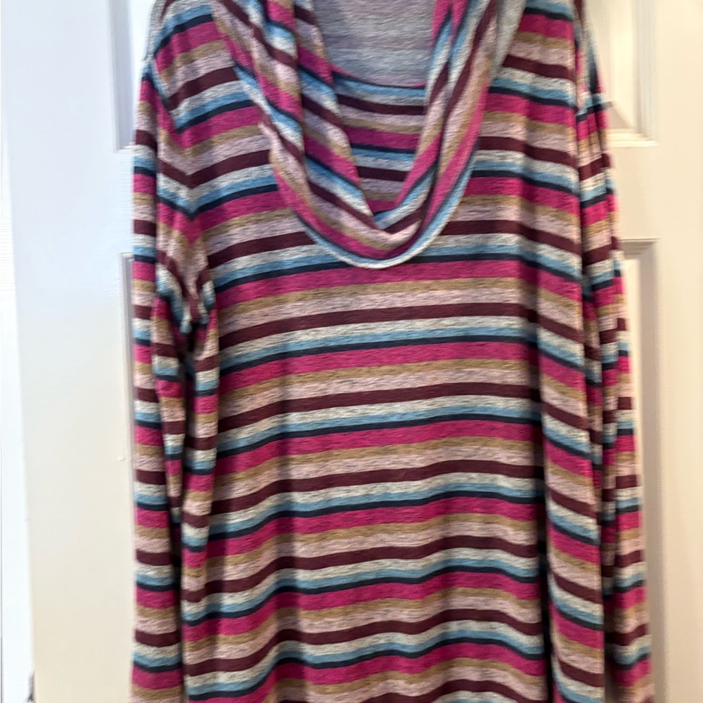 Women Lane Bryant light weight tunic length cowl neck sweater. Great Condition